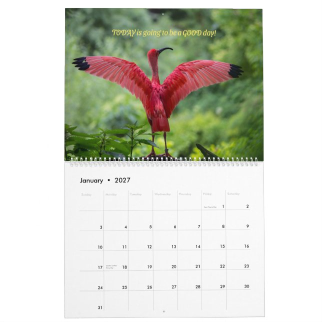 Calendário de Aves 2026 - Com Versos de bíblia (Jan 2027)