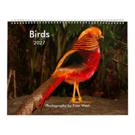Calendário de aves 2027