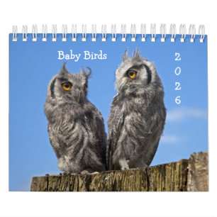 Calendário de Aves Bebidas
