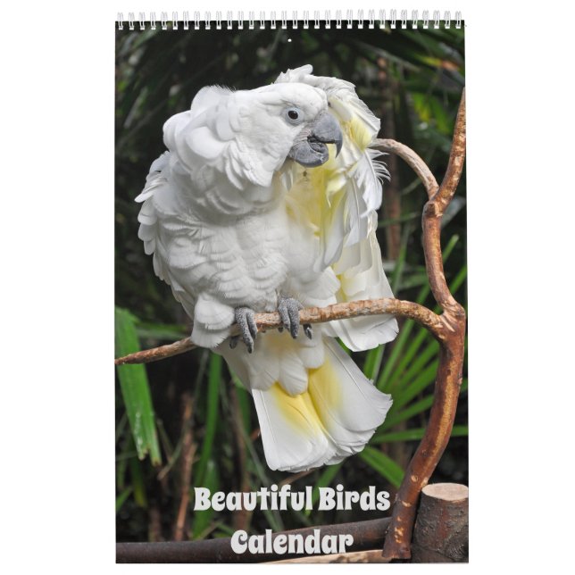 Calendário de Aves Bonito (Capa)