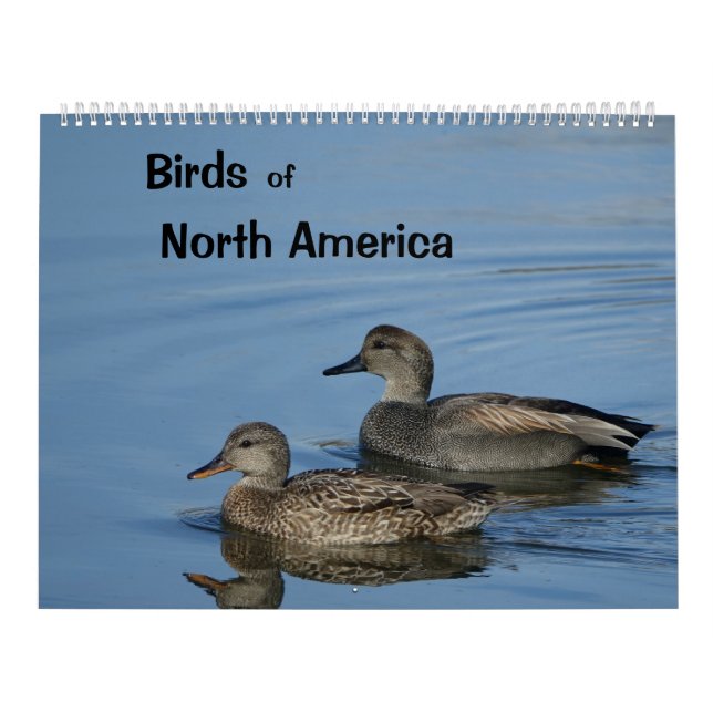 Calendário de Aves da América do Norte (Capa)