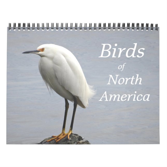 Calendário de Aves da América do Norte (Capa)