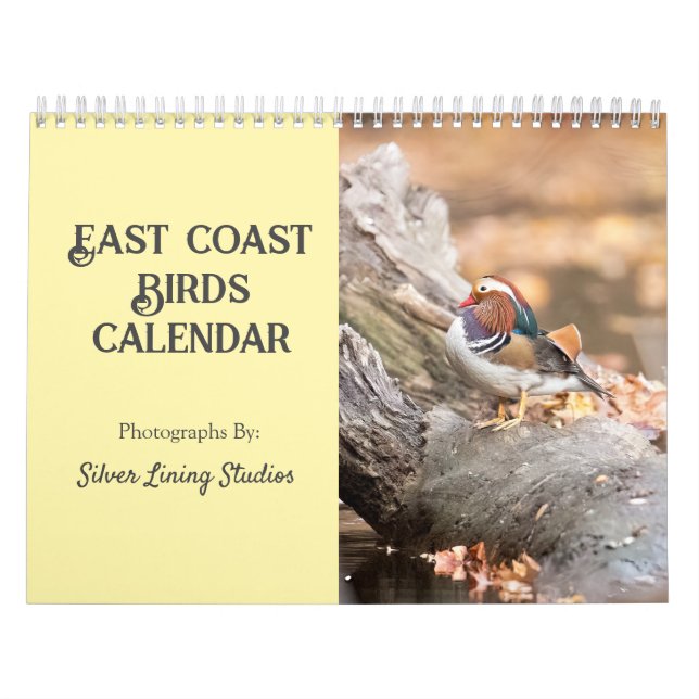 Calendário de Aves da Costa Leste (Capa)