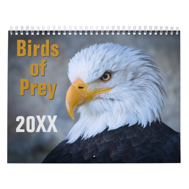 Calendário de Aves de Rapina (Capa)