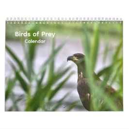Calendário de Aves de Rapina