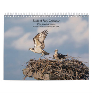 Calendário de Aves de Rapina 2026 – Majestosos Rap