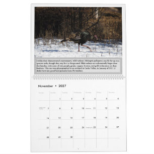 Calendário de Aves de Utah 2027