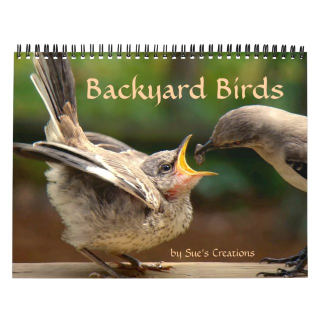 Calendário de Aves do Quintal (Capa)