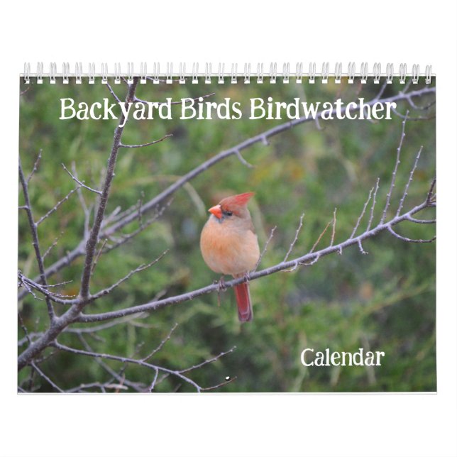 Calendário de Aves do Quintal (Capa)