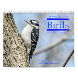Calendário de Aves do Quintal 4º da Série
