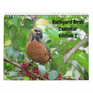 Calendário de Aves do Quintal - Edição 2