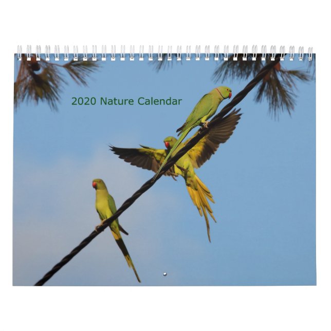 Calendário de Aves e Flores 2020 (Capa)