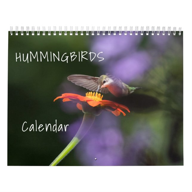 Calendário de Aves Humanos (Capa)