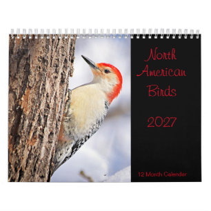 Calendário de Aves Norte-Americanas 2027