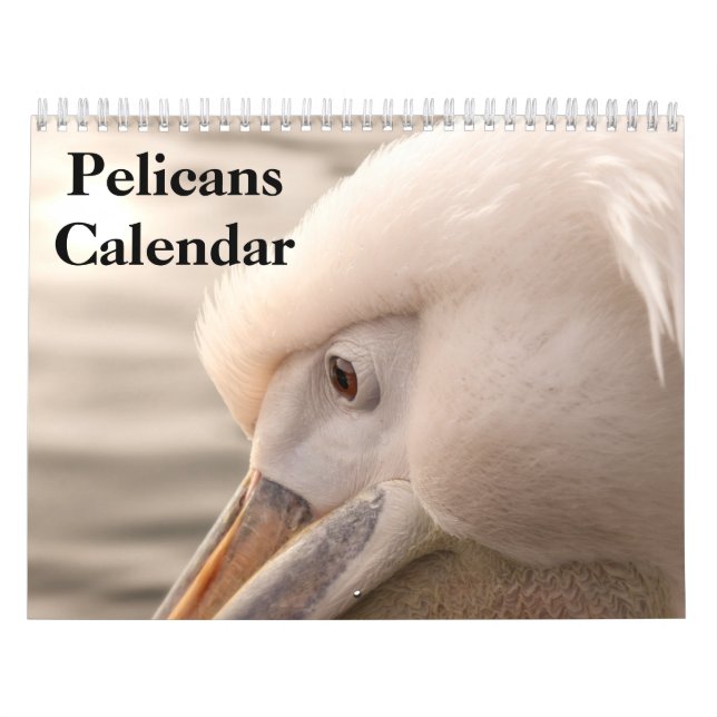 Calendário de Aves Pelicanos 2025 (Capa)