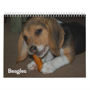 Calendário de Beagles