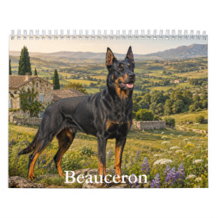 Calendário de Beauceron