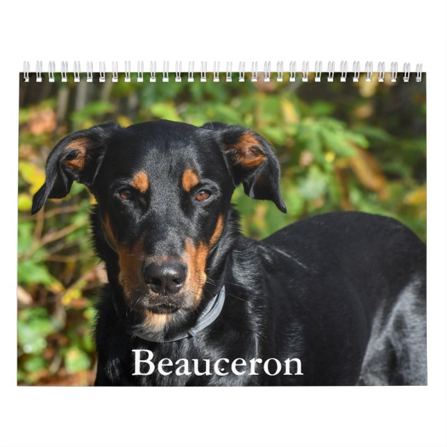 Calendário de Beauceron (Capa)