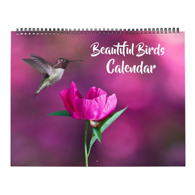 Calendário de Belas Aves de Grande Tamanho (Capa)