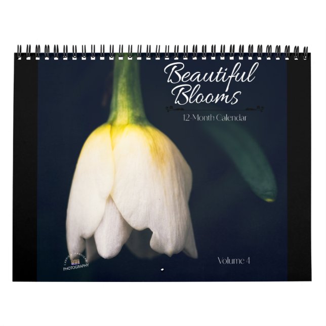 Calendário de Belas Florações de 12 Meses (Capa)
