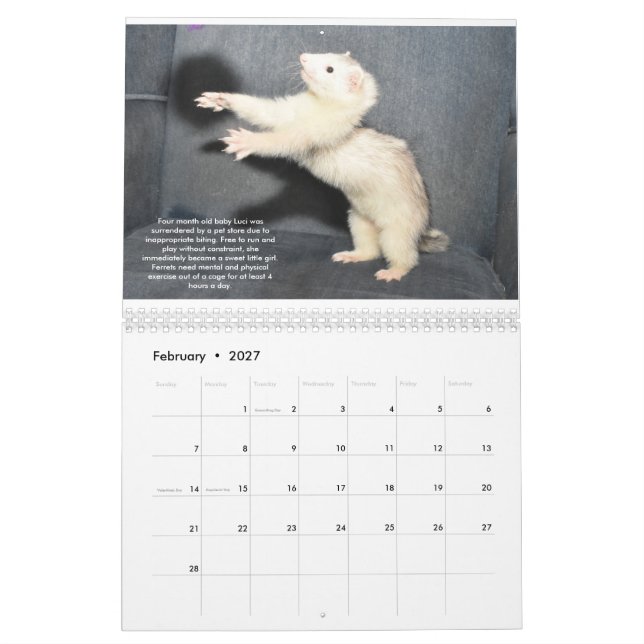 Calendário de Benefícios de Resgate de Ferret (Fev 2027)