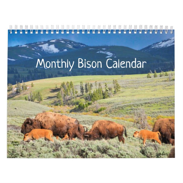 Calendário de Bison Mensal - National Parks Editio (Capa)