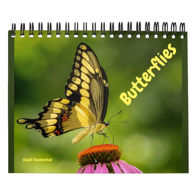Calendário de Borboletas (Capa)