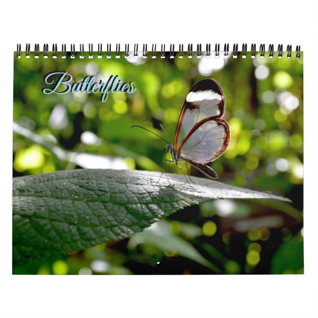 Calendário de Borboletas (Capa)