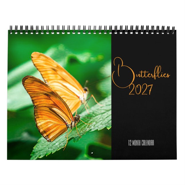 Calendário de Borboletas 2027 (Capa)