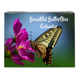 Calendário de Borboletas Bonitas de Grande Tamanho