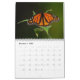 Calendário de Borboletas Monarch 2024 (Dez 2025)