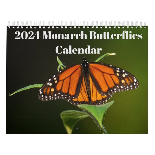 Calendário de Borboletas Monarch 2024 (Capa)