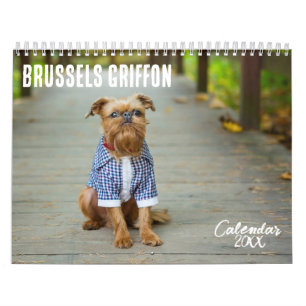 Calendário de Bruxelas Griffon 2026