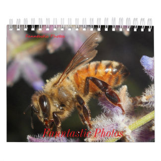 Calendário de Bugs e Flores