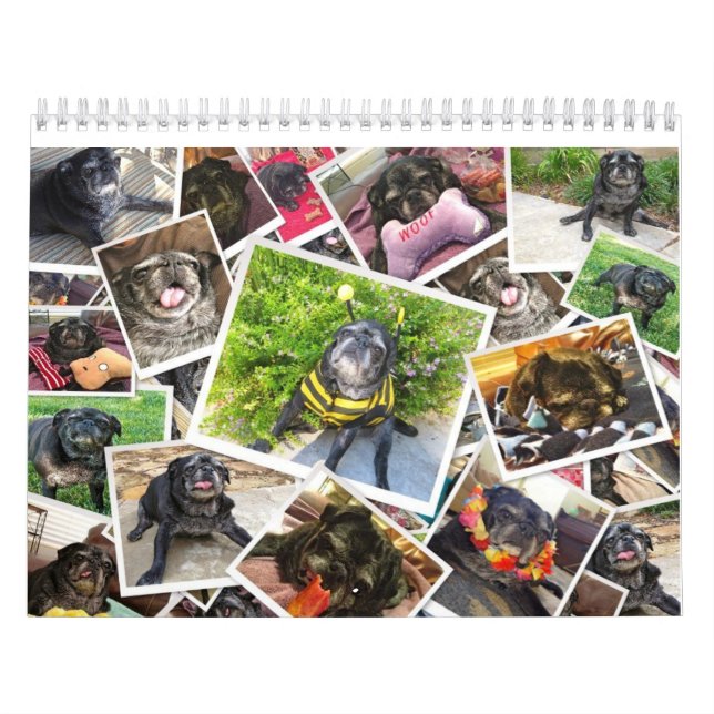 Calendário de Bumblesnot 2014 (Capa)