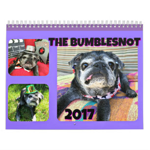 Calendário de Bumblesnot 2017