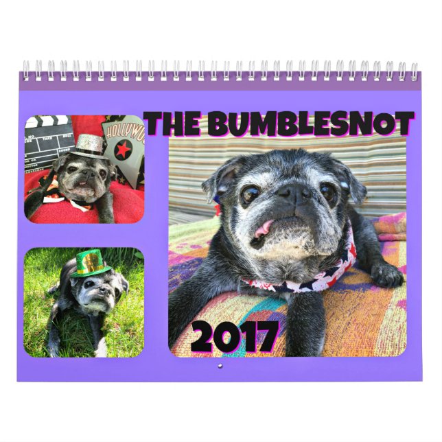 Calendário de Bumblesnot 2017 (Capa)