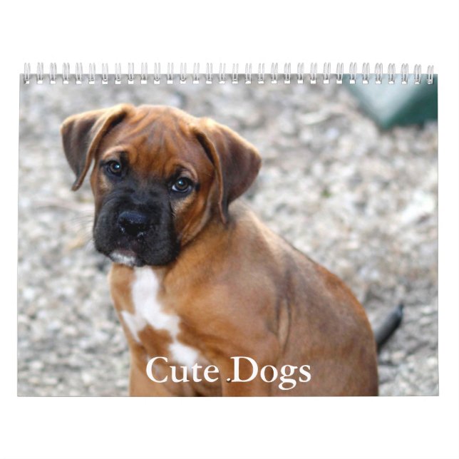 Calendário de Cachorro Fofo (Capa)