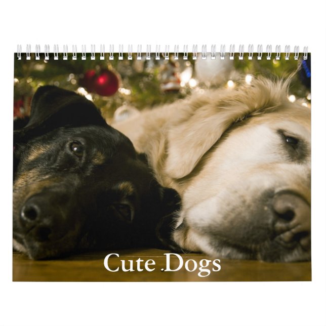 Calendário de Cachorro Fofo (Capa)