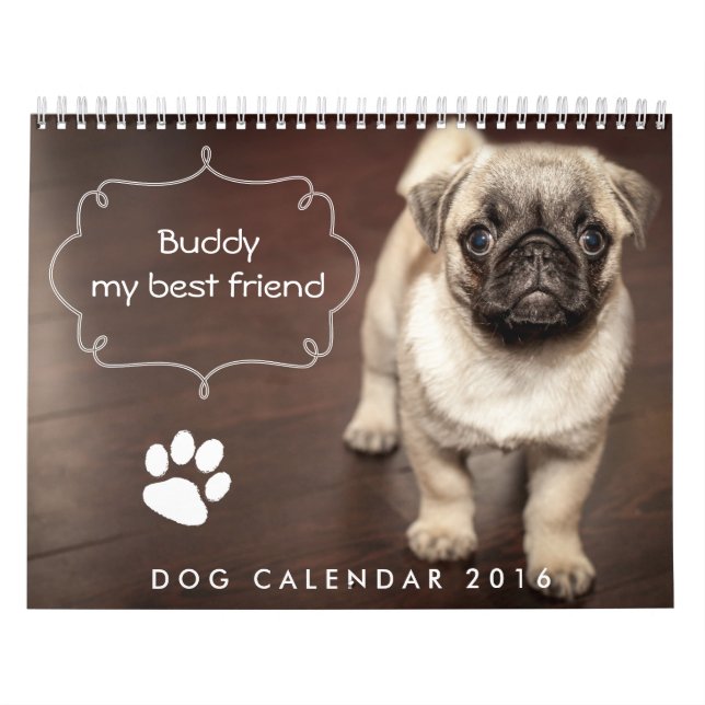 Calendário de Cachorros 2016 Personalizado Adicion (Capa)