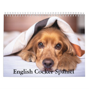 Calendário de Cachorros de Choque Inglês