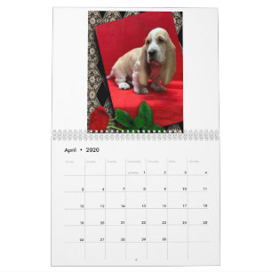 Calendário de cachorros do hound basset