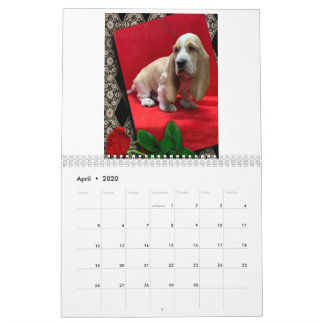 Calendário de cachorros do hound basset