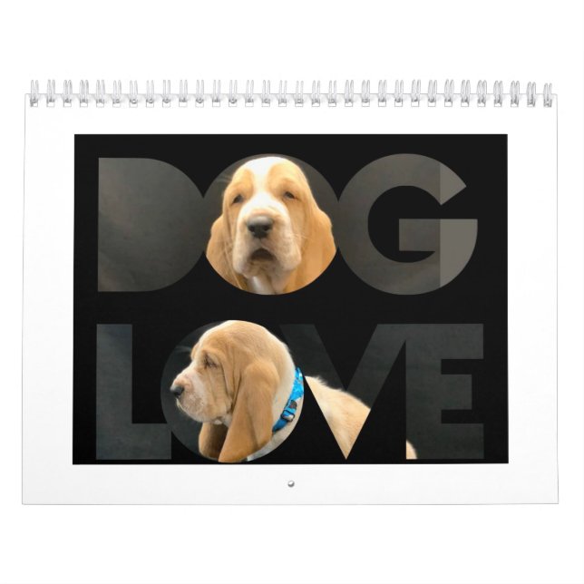 Calendário de cachorros do hound basset (Capa)