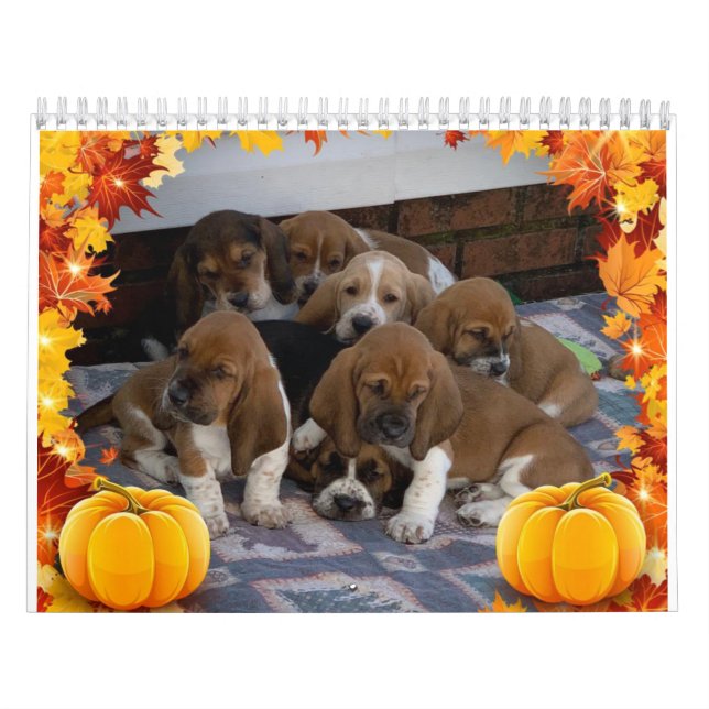 Calendário de cachorros do hound basset (Capa)