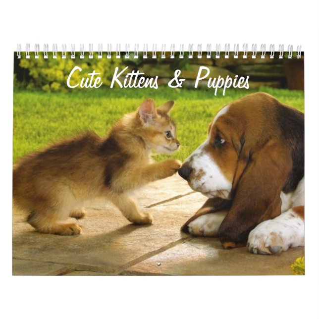 Calendário de Cachorros e Gatinhos (Capa)