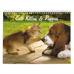 Calendário de Cachorros e Gatinhos