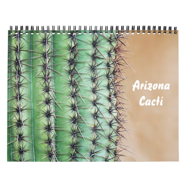 Calendário de Cactos de Arizona (Capa)