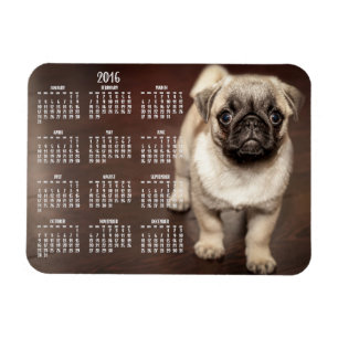 Calendário de cães 2016 Foto de pequeno ímã 3x