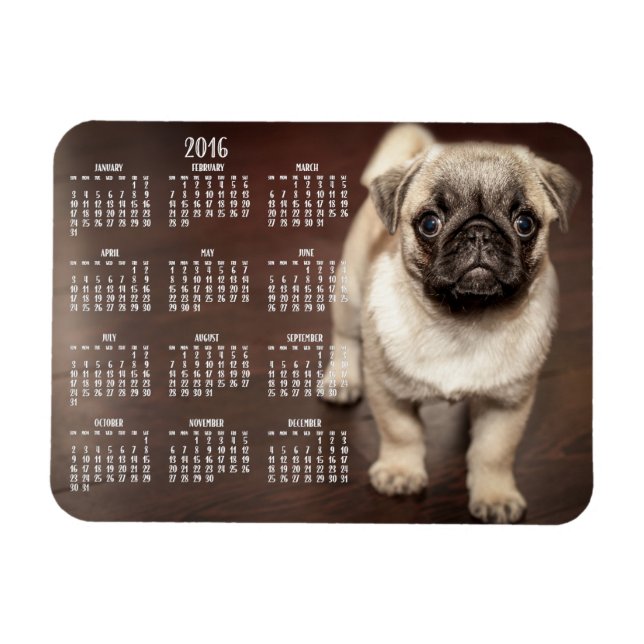 Calendário de cães 2016 Foto de pequeno ímã 3x4 (Horizontal)
